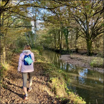 Léa met 4h pour monter une côte, elle la redescend 2 fois plus vite.
Combien de temps met Léa pour descendre la côte ?