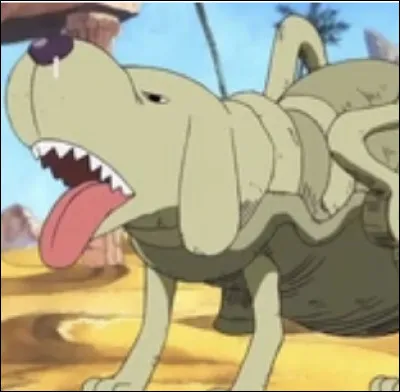 Quel est le nom du fusil chien de Mr 4 ?