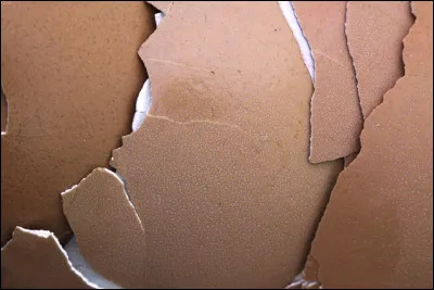 Fais-tu des bêtises durant les cours ?