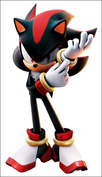 Est-ce que Shadow est présent dans le jeu ?