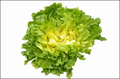 La danse en rond accompagnée de chant était une...