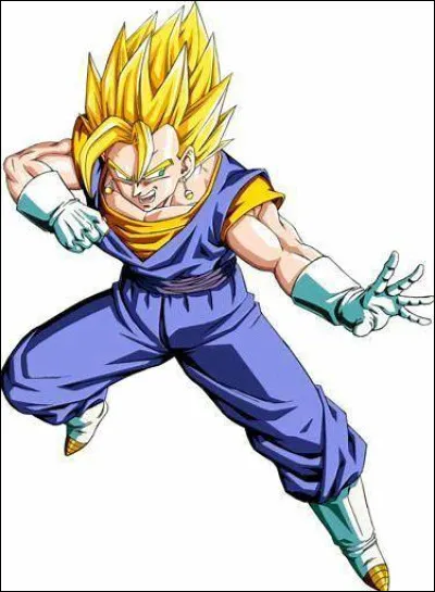Quelle est la fusion de Goku et Vegeta ?