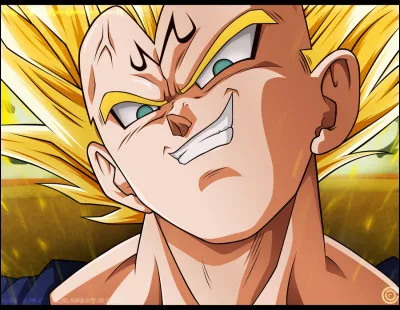 Quelle est la marque que Vegeta possède ?