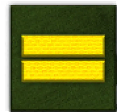 À quoi correspond ce galon ?