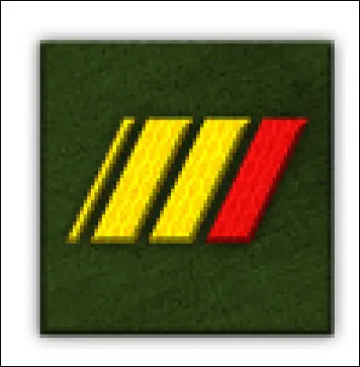 À quoi correspond ce galon ?