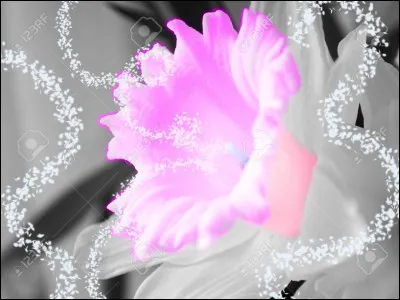 Tes professeurs te trouvent incroyable. Ils te proposent de ne pas avoir cours pendant deux jours. Que fais-tu ?