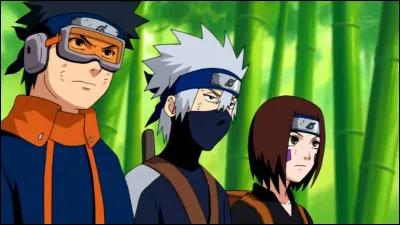 Qui sont les compagnons de Kakashi ?