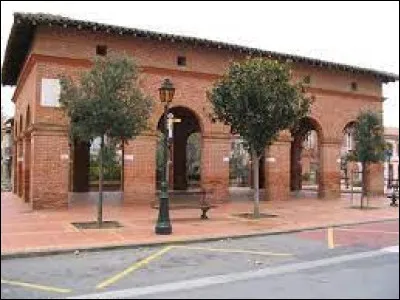 Cette ville de 9000 habitants du département de la Haute-Garonne, située entre Muret et Toulouse, c'est Portet sur ...