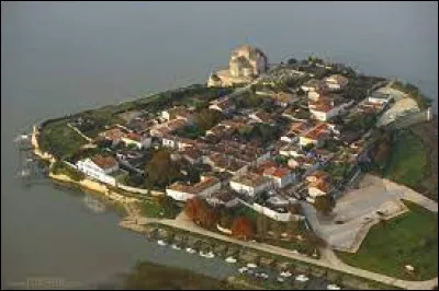 Ce village du département de la Charente-Maritime, ancienne bastide fondée par le roi d'Angleterre, c'est Talmont sur ...