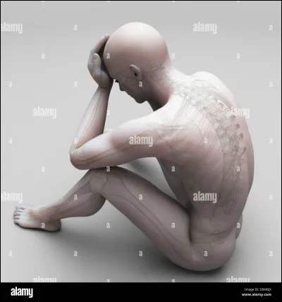 Quel est cet animal ?