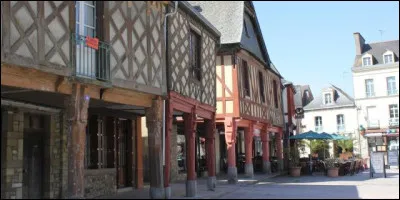 Cette petite ville de 4200 habitants du département d'Ille-et-Vilaine, c'est La Guerche de ...