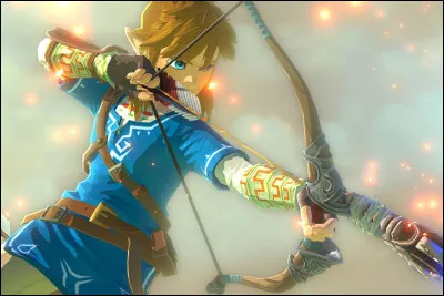 De quel autre personnage célèbre Link est-il inspiré ?