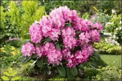 Comment écrit-on ce mot ?