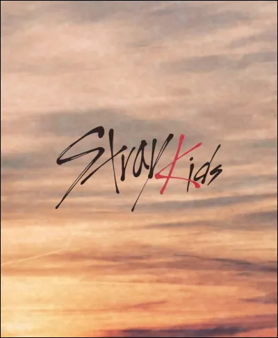 Combien de membres le groupe Stray Kids compte-t-il ?