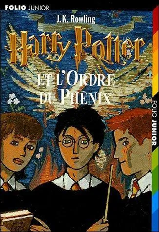 Combien y a t-il de pages dans le tome 5 ?
