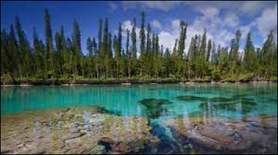 Quel nom porte une baie de Papouasie-Nouvelle-Guinée où fut construite une base américaine durant la Seconde Guerre mondiale ?
