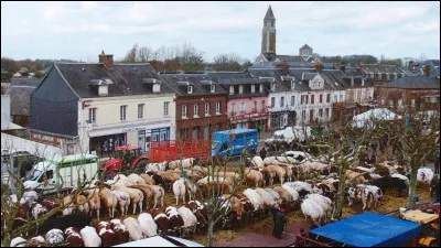 Ce bourg du d&eacute;partement de la Seine-Maritime, situ&eacute; entre Yvetot et F&eacute;camp, c'est Fauville en ...