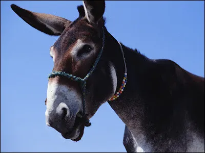 Aura toujours la même fonction en changeant de carrière, c'est le...