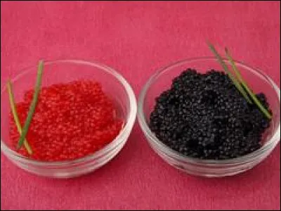 Ne manque pas de culot, c'est la...