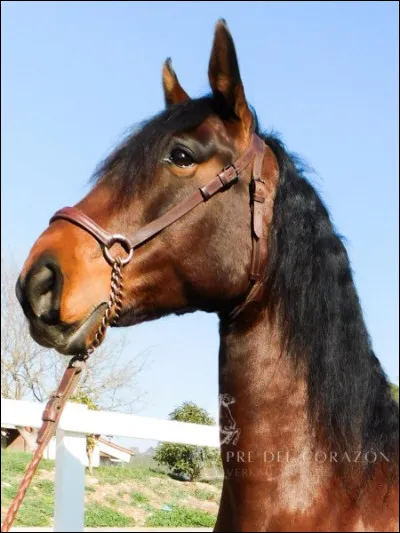 Par quoi peux-tu t'échapper ?