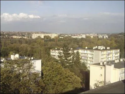 Cette ville de 20 000 habitants du département de lEssonne, c'est Morsang sur ...