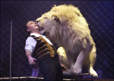 Quel est ce m&eacute;tier ?