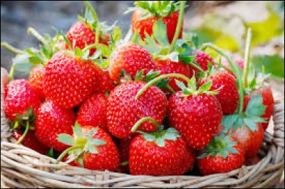 Ils ont _ toutes les fraises !