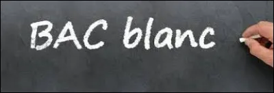 À quel trimestre a eu lieu le bac blanc de 2023 ?
