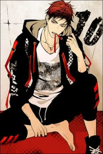 De quel animé vient-il ?