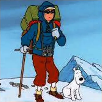 Quelle créature de la cryptozoologie porte un nom qui peut être traduit par "ours des rochers" ?