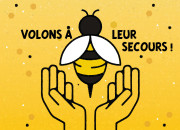 Quiz L'abeille ne fait pas le moins... (journe mondiale du 20 mai)