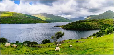 Qui est l'interprète de la chanson ''Les Lacs du Connemara'' '(lacs célèbres irlandais) ?
