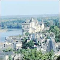 Tout prs d'une abbaye royale, ce village est bti autour de son chteau du XVe sicle, entre Loire et coteau :