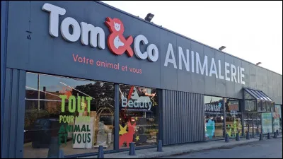 Tu est dans une animalerie et tu as le droit de choisir un animal lequel choisit tu ?