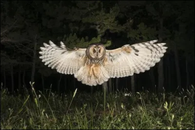 Qui est l'interprète de ces paroles : "Je me vois marcher la faim au ventre / Dans la rue qui sent déjà l'hiver / Ou ! / Parmi tous ces inconnus qui rentrent / Retrouver la femme et le couvert" ?