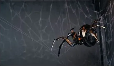 De quel clip cette image vient-elle ?