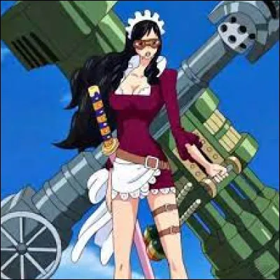 Qui est ce membre de l'équipage de Doflamingo ?