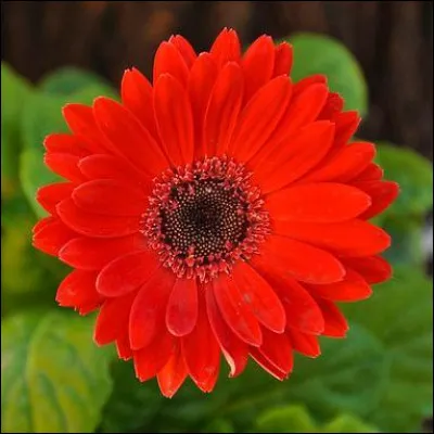 Quelle est cette couleur ?