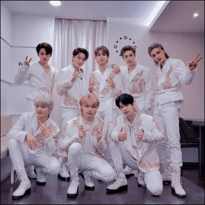 Qui est ton bias dans Stray Kids ? 1/3