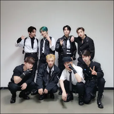 Qui est ton bias dans Stray Kids ? 3/3