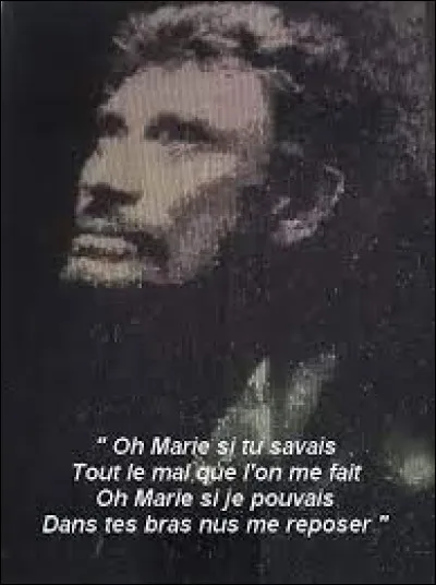 Quel chanteur a écrit la chanson "Marie" pour Johnny Hallyday  ?