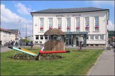 Cette ville de 9500 habitants du département de Meurthe-et-Moselle, située entre Nancy et Lunéville, c'est Dombasle sur ...