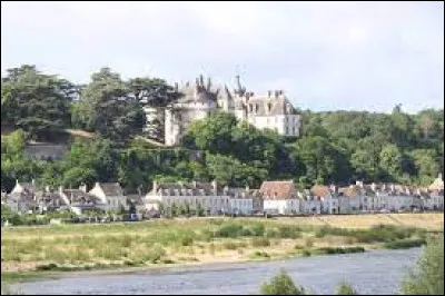 Ce village du Loir-et-Cher, connu pour son château et le festival des jardins qui s'y déroule, c'est Chaumont sur ...