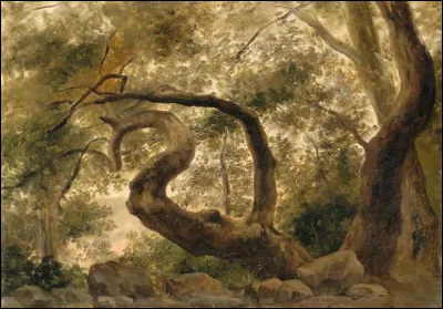 Qui a peint "Sous-bois, arbres aux branches tortueuses" ?