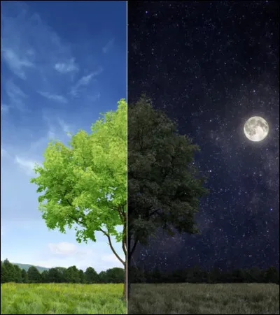 Aimes-tu plus le jour ou la nuit ?