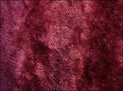 Comment dit-on le pourpre ?