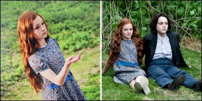 Quel est le patronus de Lily Potter ?