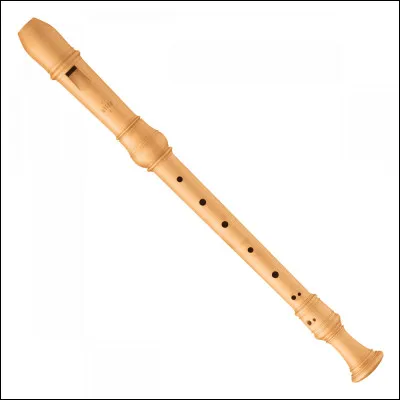 Quel est cet instrument ?