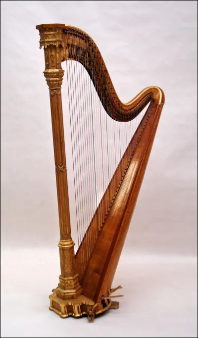 Quel est cet instrument ?