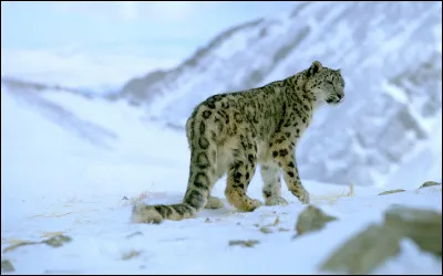 Indice : Cette capitale est située dans un pays montagneux !